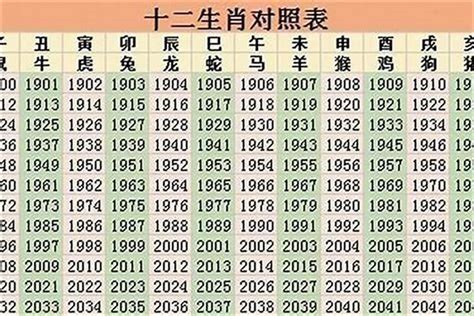 2025年 生肖|2025年属什么生肖 2025年的生肖是什么